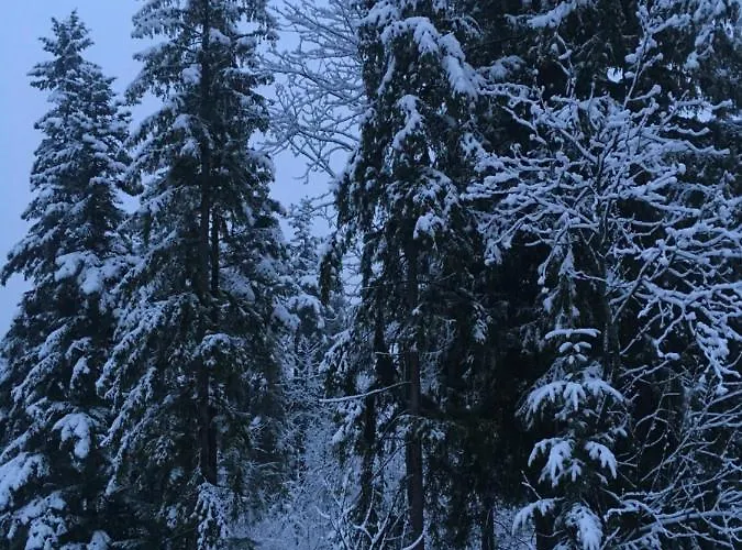 Belle Epoque Zakopane