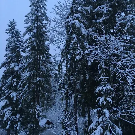 Belle Epoque Zakopane