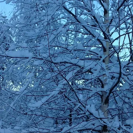 Belle Epoque Alojamento de Acomodação e Pequeno-almoço Zakopane