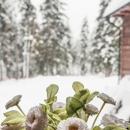 Belle Epoque Bed & Breakfast Zakopane