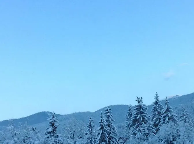 Belle Epoque 3* זקופאנה