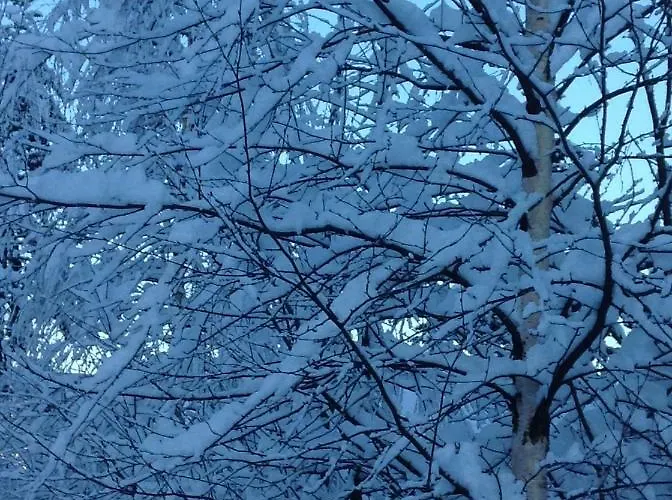 Belle Epoque Bed & Breakfast Zakopane