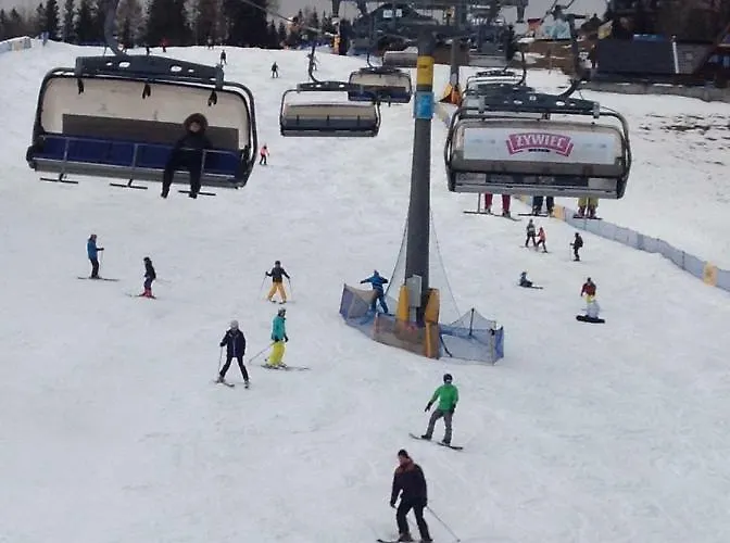 Belle Epoque זקופאנה