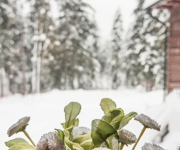 Belle Epoque לינה וארוחת בוקר זקופאנה